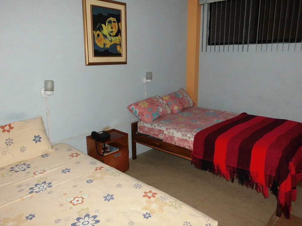 Hotel Francisco II