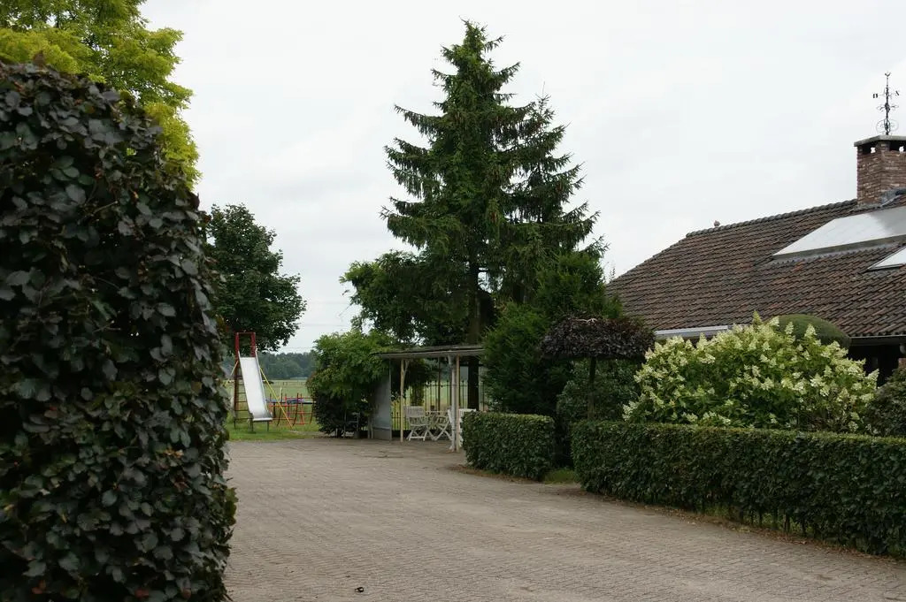 Beukenhaeghe