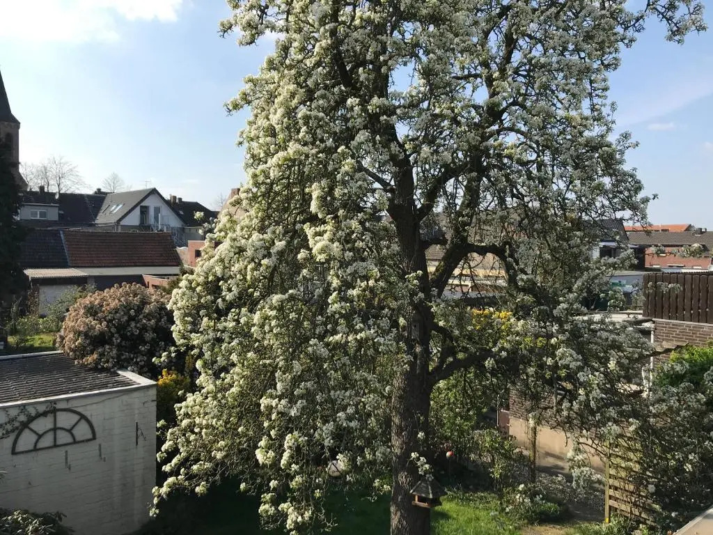 Ferienwohnung Kathe
