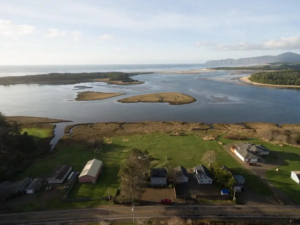 The Sandlake View