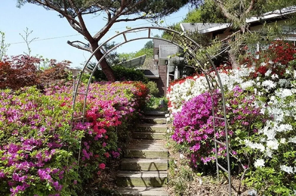 Seasonal Sky Pension