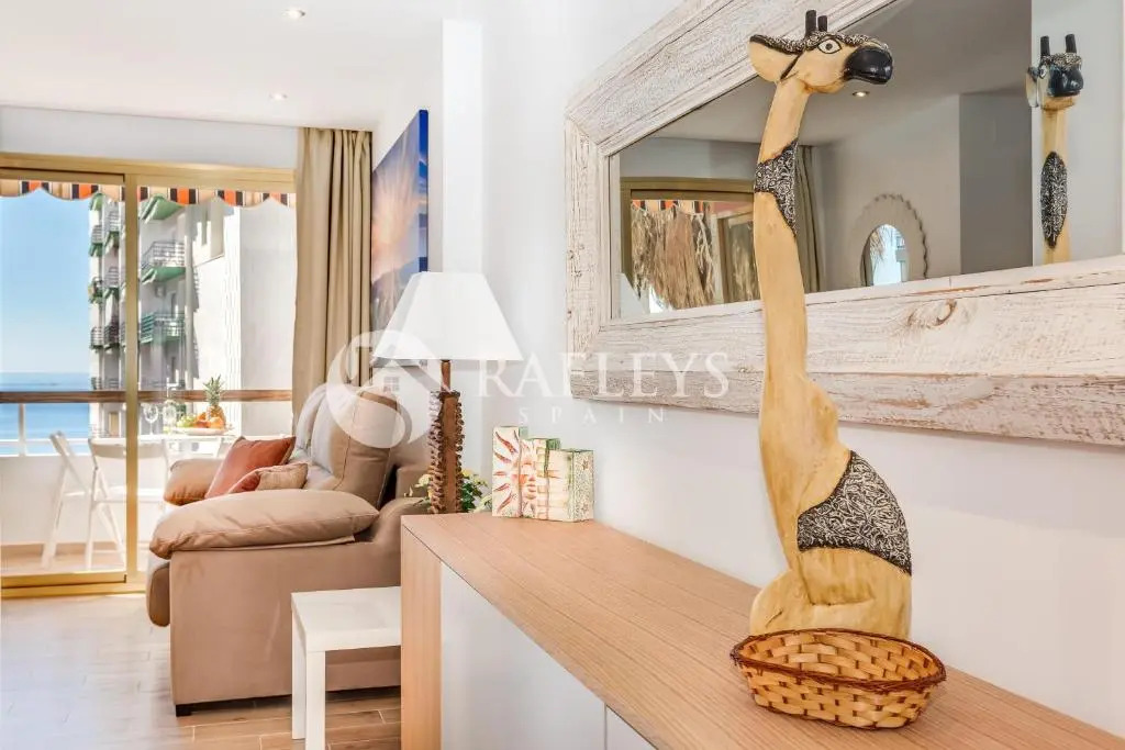 Modern 1 BR apartement in very center of Marbella.