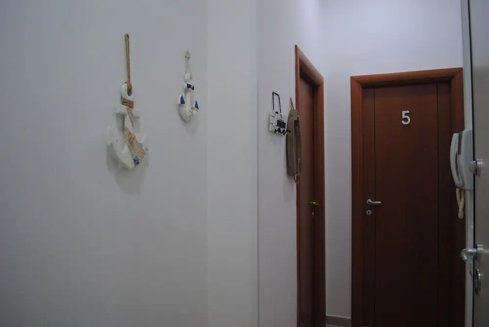 Molo 5