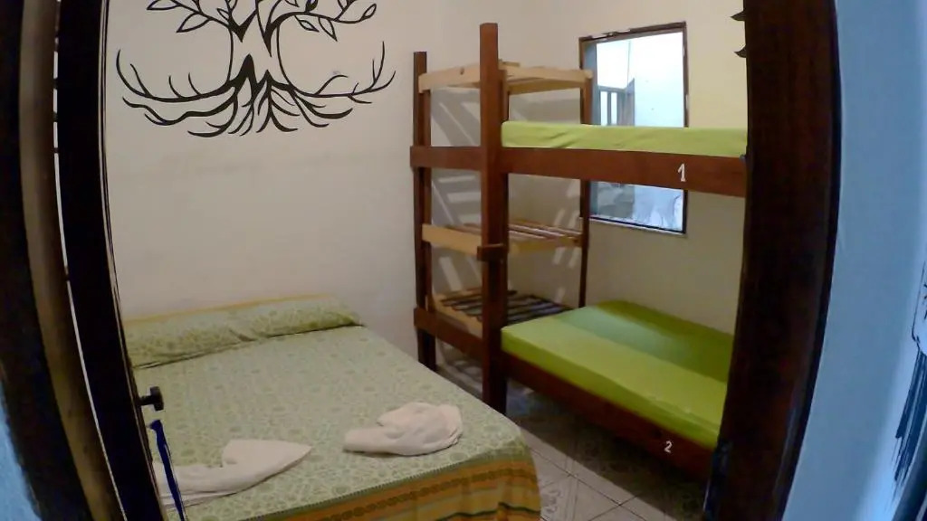 Hostel FreeDive Inn
