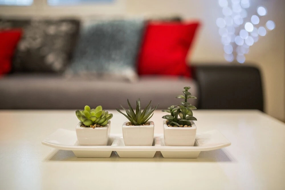 Jasmin Apartment