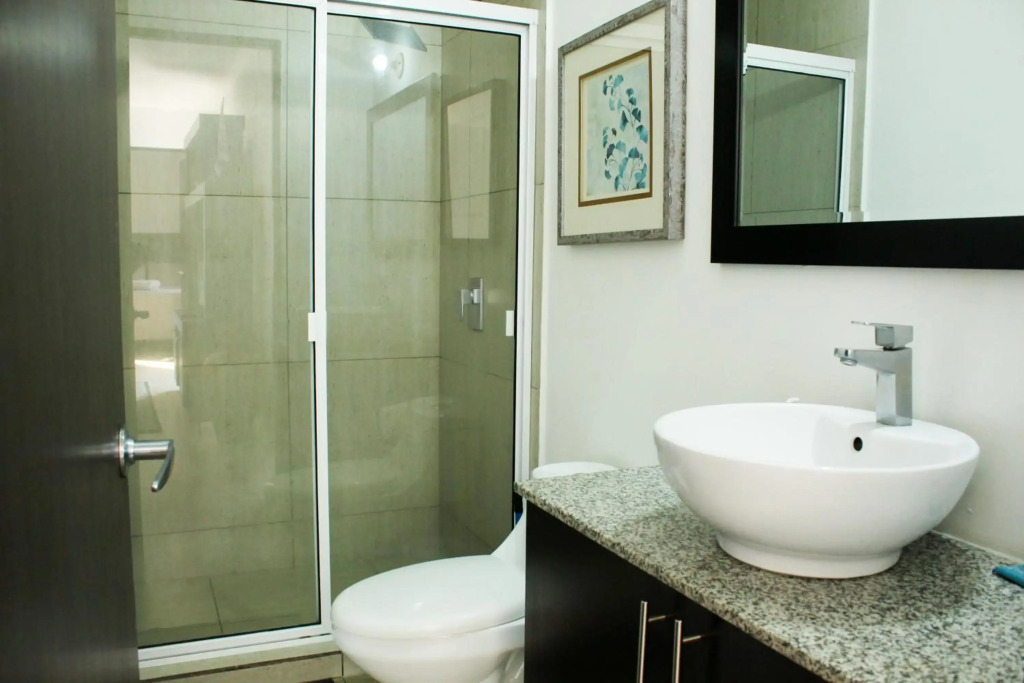 The Luxury Apartment