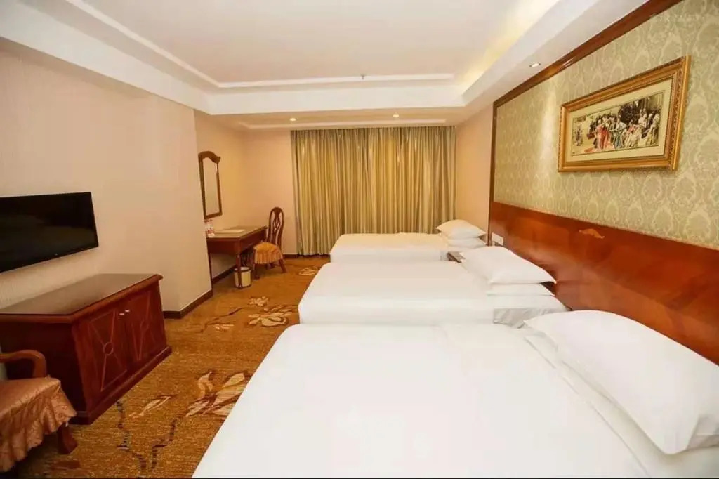 Vienna Hotel Guangdong Huizhou Maidi South Road