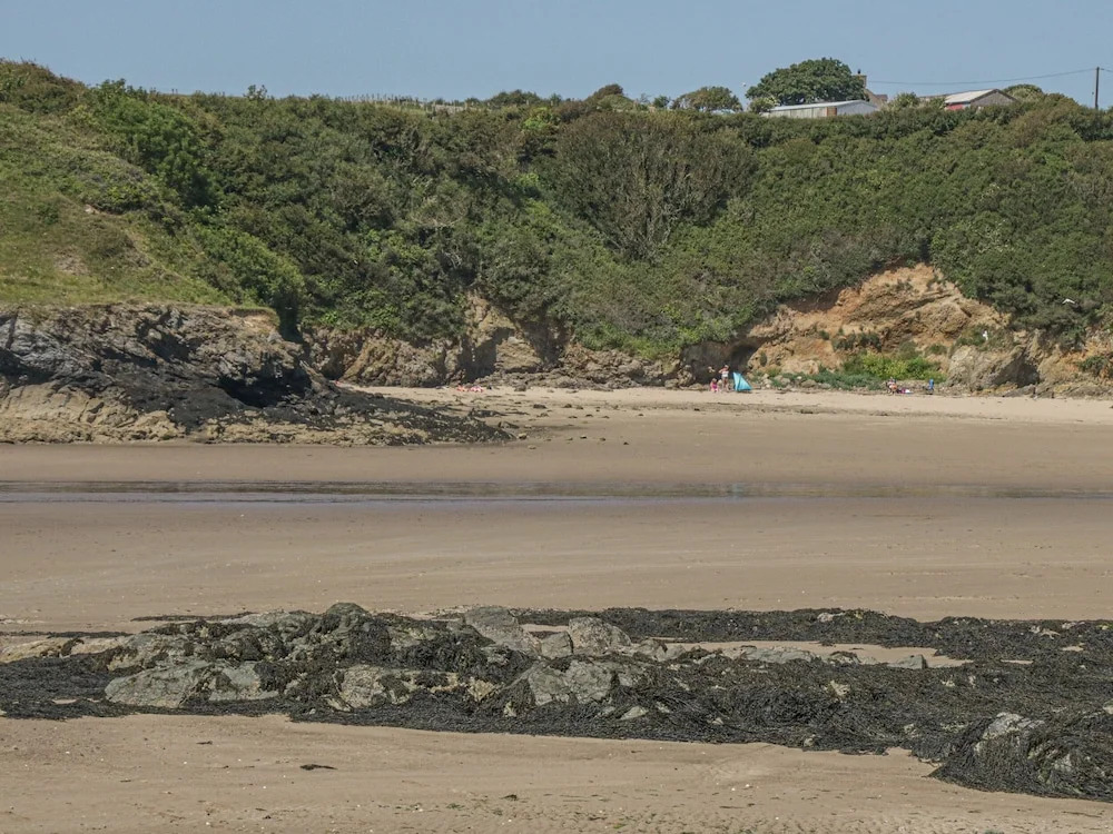 Delfryn