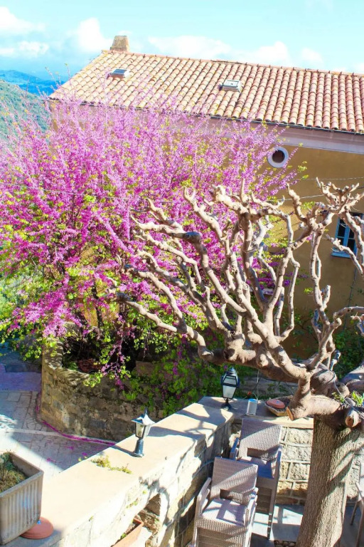HÖTEL U SANTA MARIA