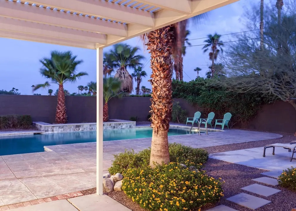 Paradise Palm