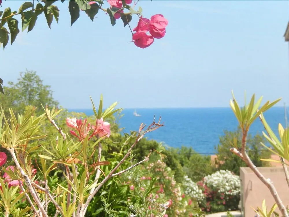 Erbalunga - Résidence Les Bosquets - Cap corse Location