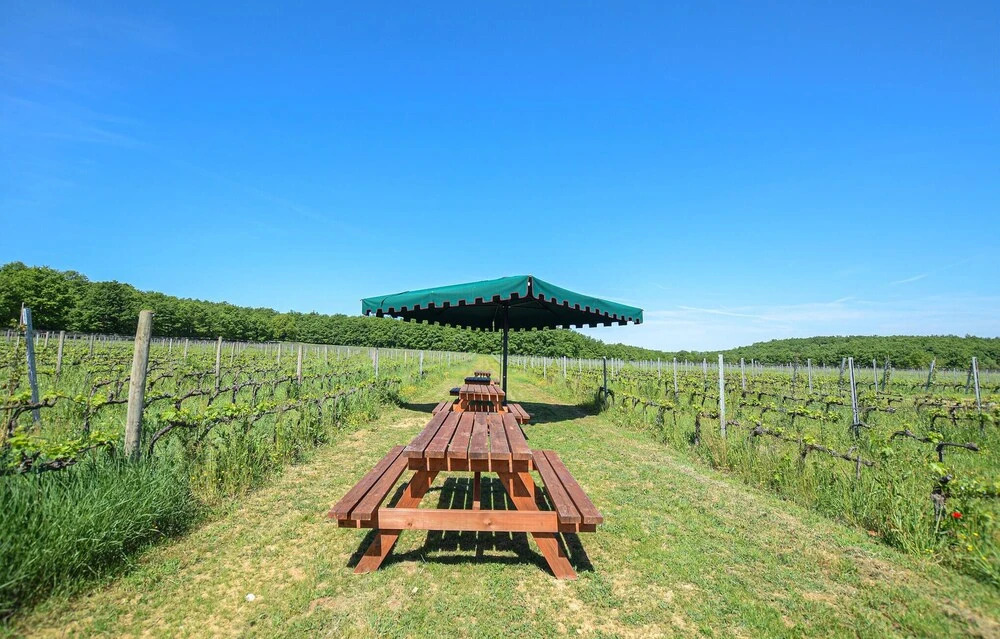 Nice Home in Montepulciano With Outdoor Swimming Pool, Wifi and 1 Bedrooms