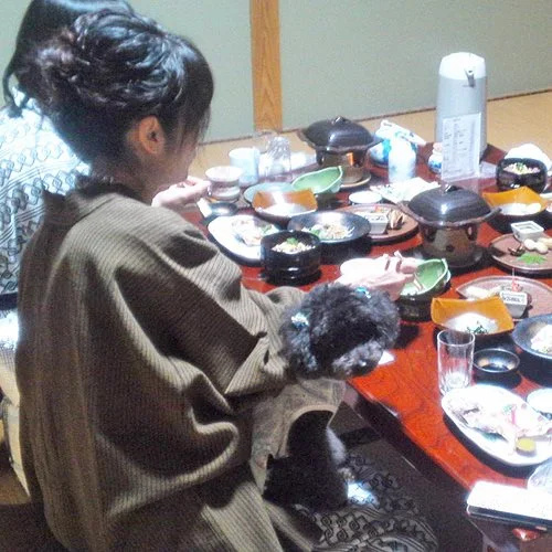 Yuba Onsen Ryokan