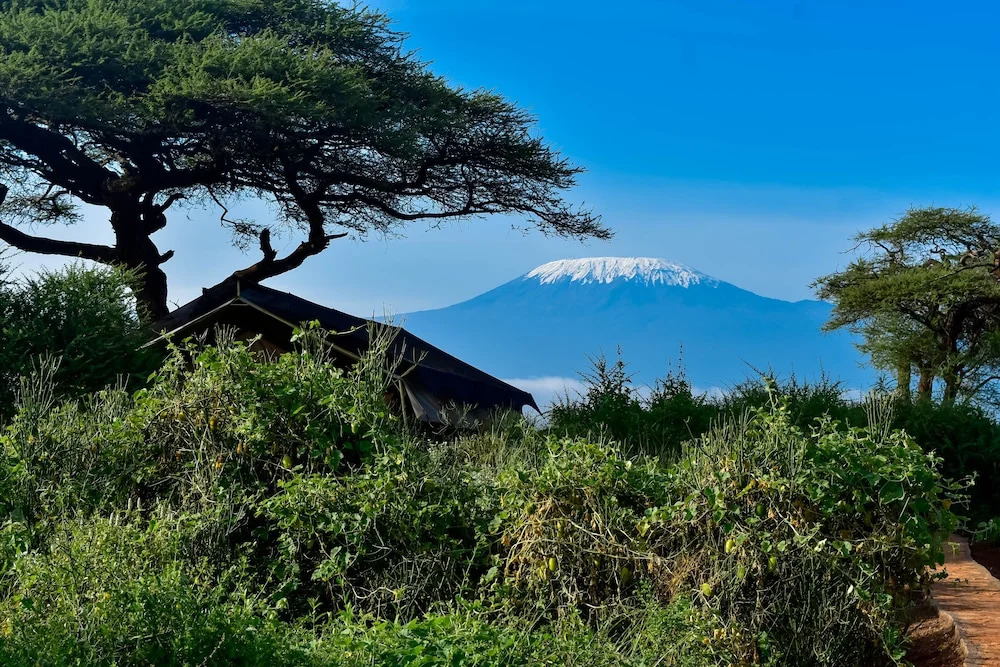 Tulia Amboseli Safari Camp
