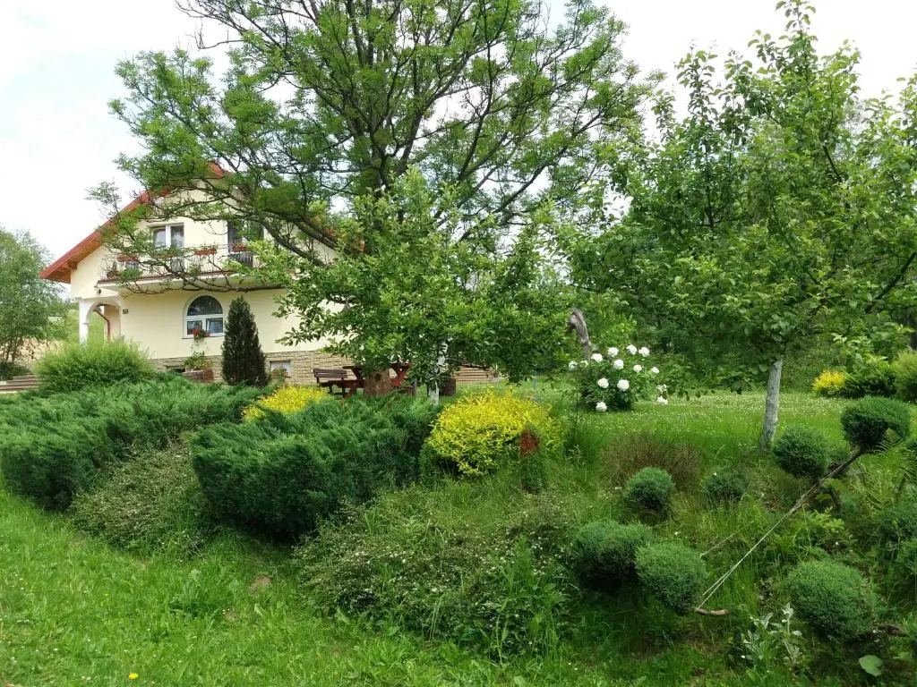 U Eskulapa