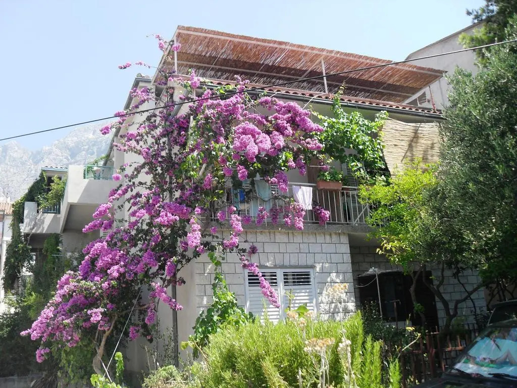 VILLA apartmans KATE
