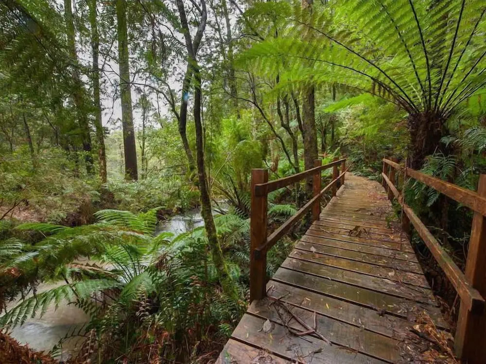 The Source, Otways