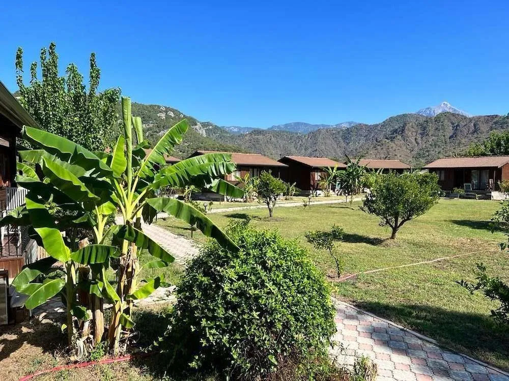 Alicra Hotel Çıralı