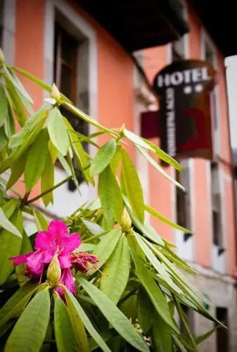 Hotel Torrepalacio