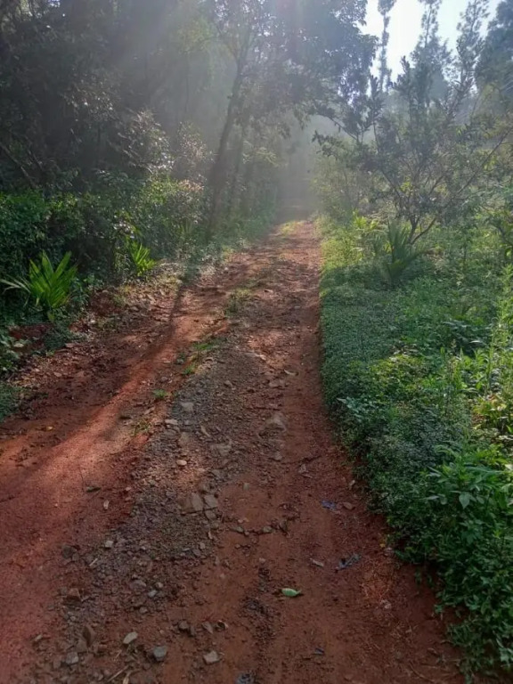Coorg Coffee Country Park by StayApart