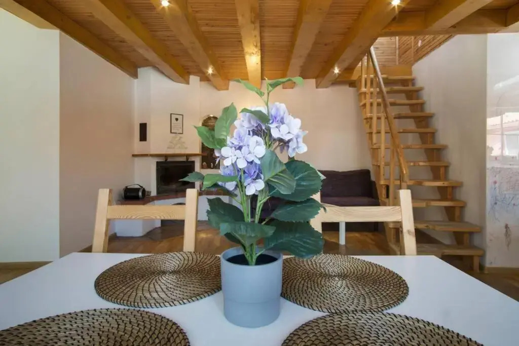 Šv. Mykolo Rooftop Apartment & Sauna