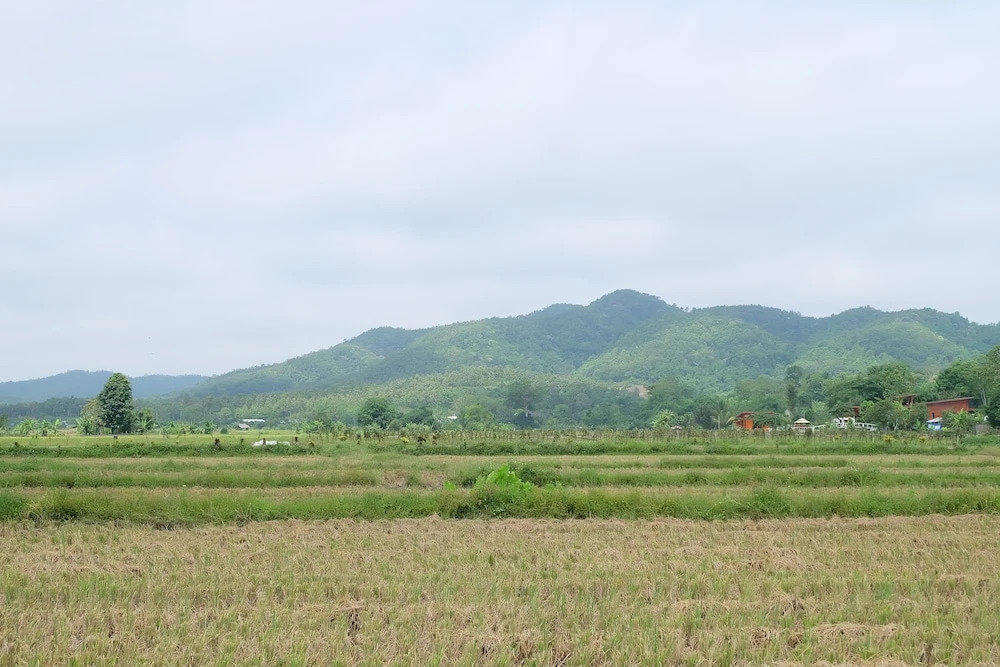 Baan Klang Nam Resort