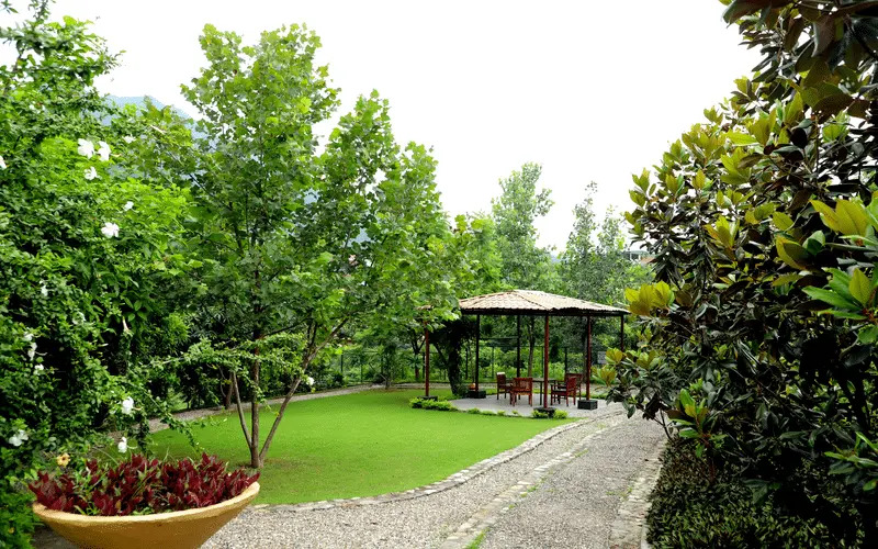 Aloha - Luxury Apartments by blissful Ganges