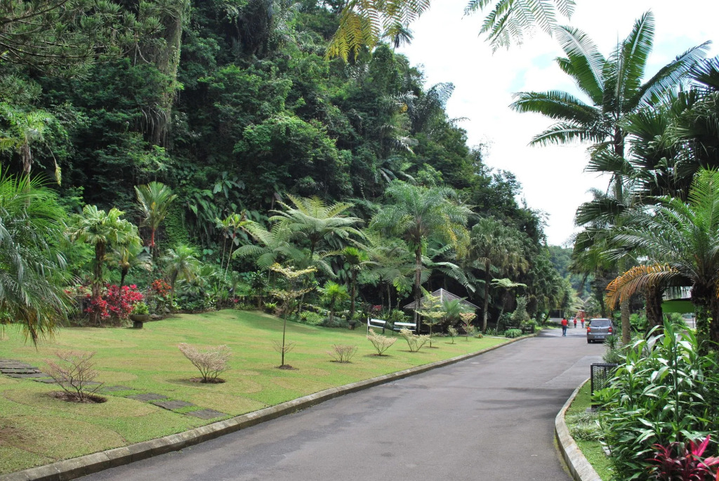 Zuri Resort Cipanas
