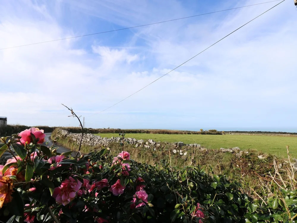 Trevowhan House
