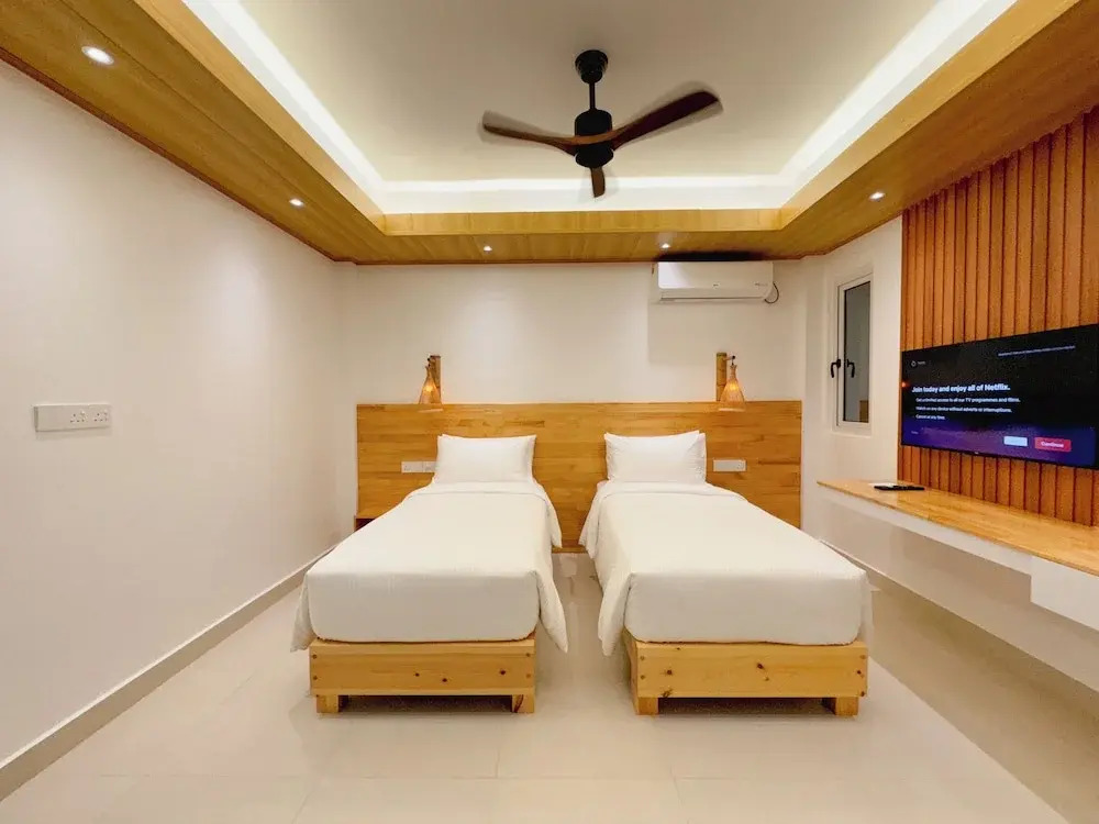 Pavona Maldives
