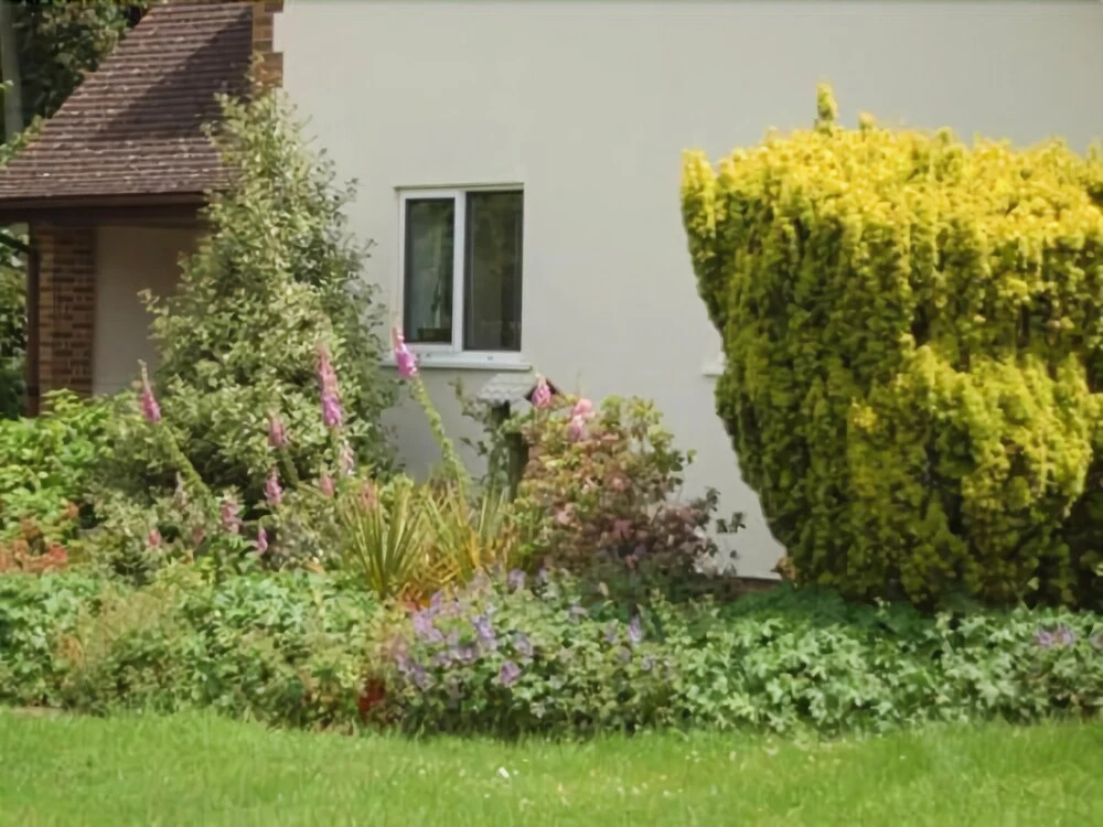 Bassets B&B