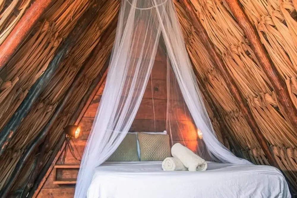 Mapache Hostel & Camping