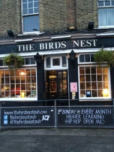 The Birds Nest Hostel
