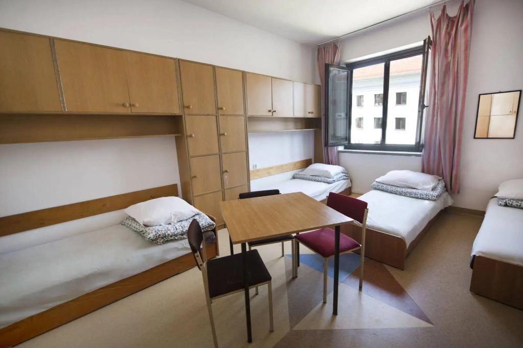 Dizzy Daisy Hostel