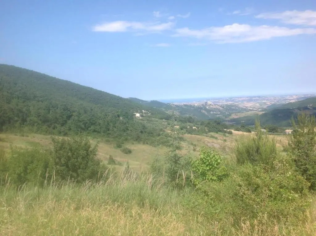 Dal Biondo