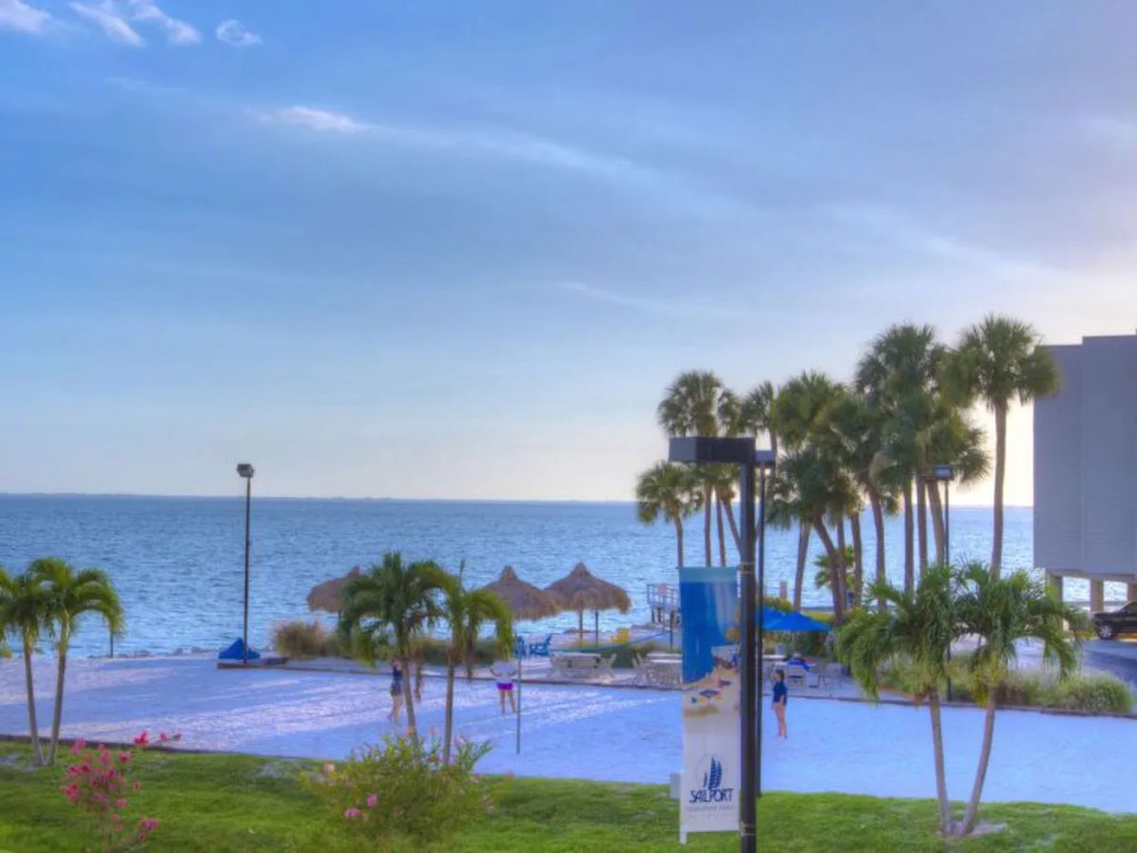 Tampa Waterfront 24281