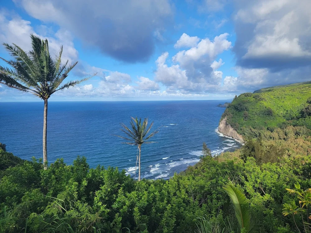Kohala Village INN