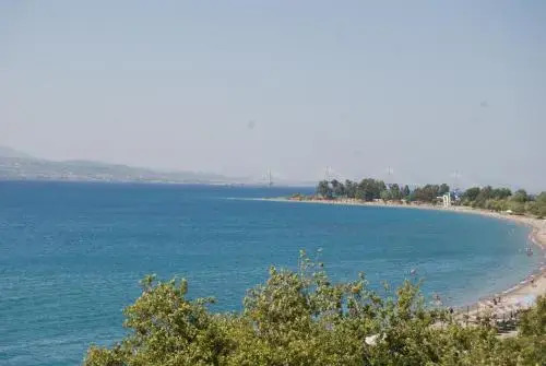 Chrisi Akti