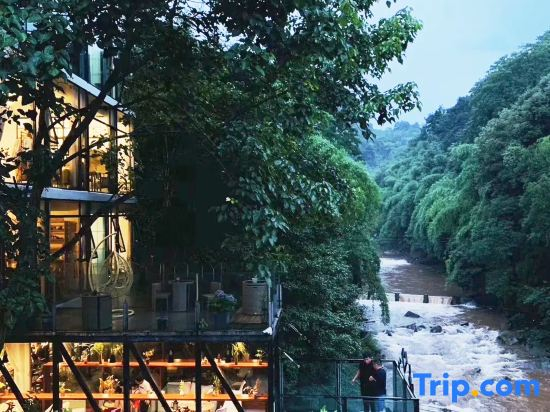Mount Qingcheng Three Cats  Forest Spa Homestay