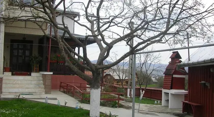 Pensiunea Casa Victor