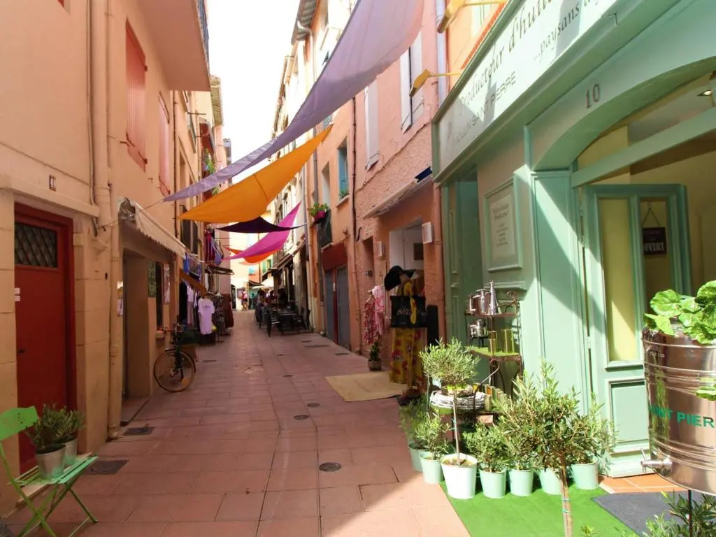 Appartement Collioure, 3 pièces, 4 personnes - FR-1-309-284