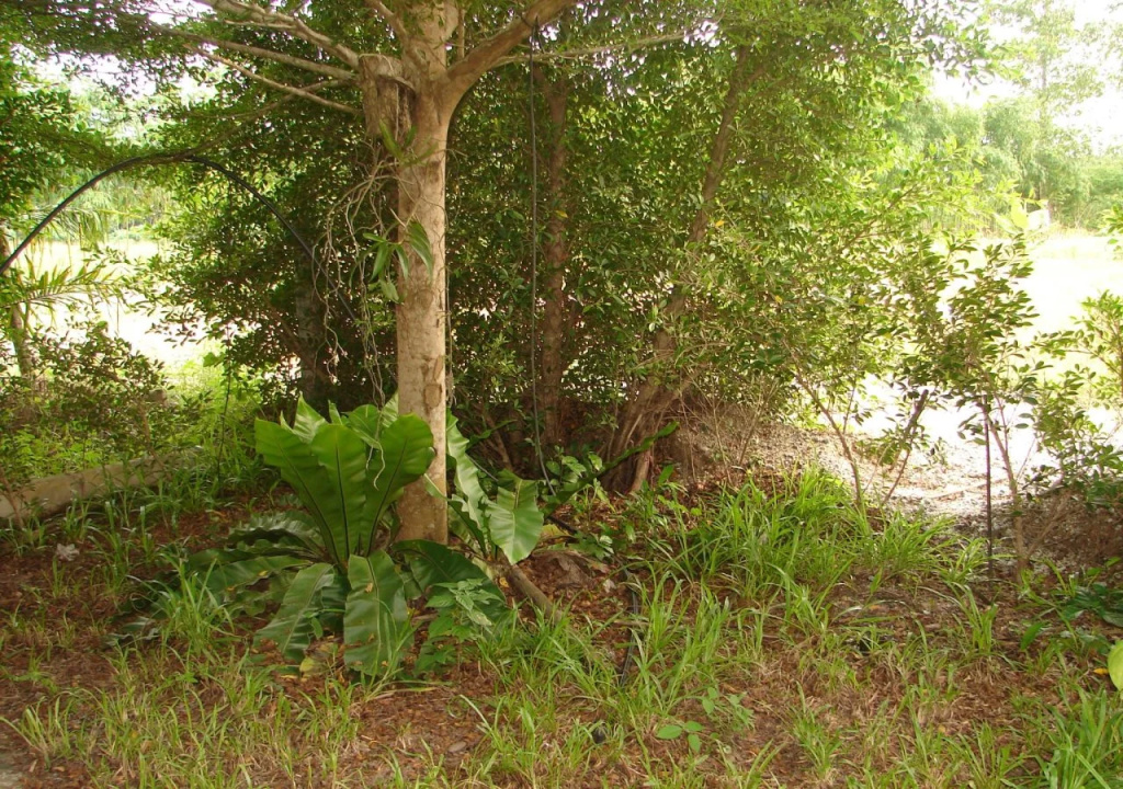 Ruenmanee Resort