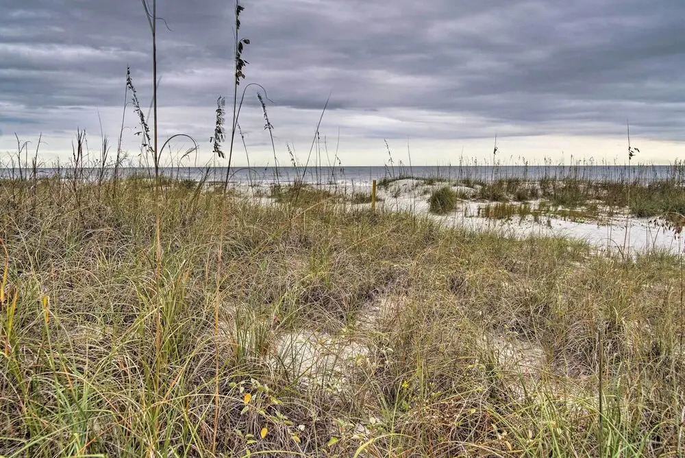 Walk to Folly Field Beach: Hilton Head Condo