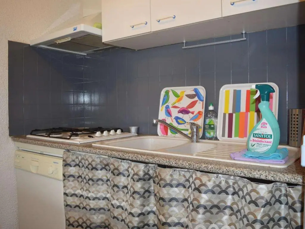 Appartement Banyuls-sur-Mer, 2 pièces, 4 personnes - FR-1-225C-62
