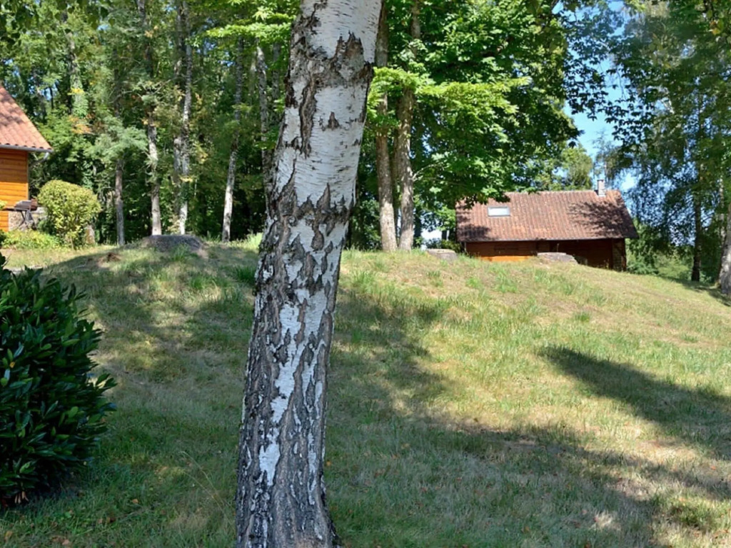 Serene Holiday Home in Cussac with Private Terrace, Barbeque