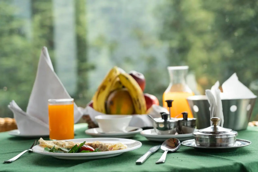 The Chalets Naldehra