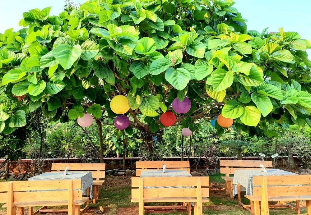 Go Green Spice Eco Resort