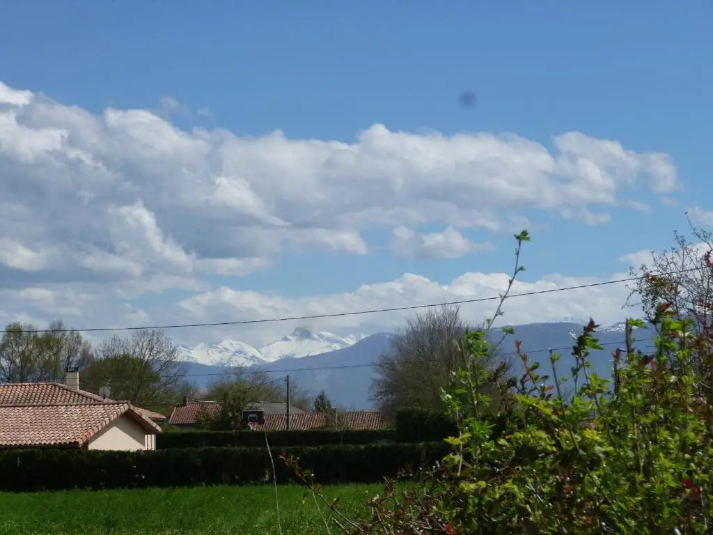 Les Glycines