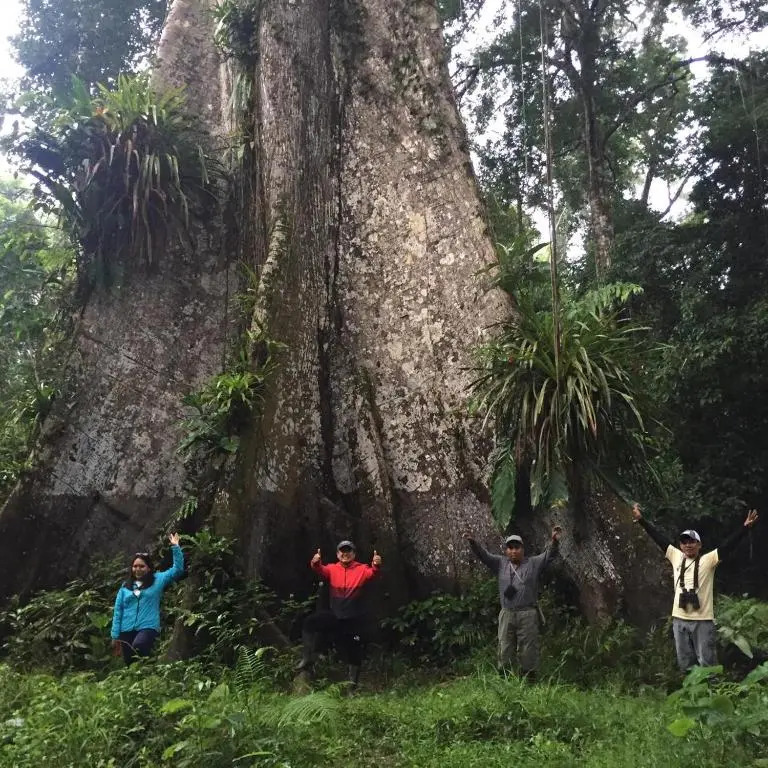 Jacamar Lodge Expeditions
