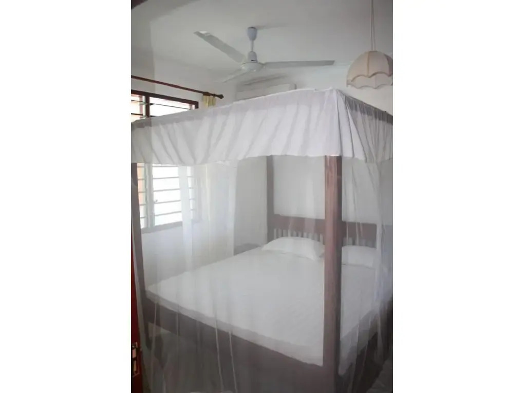 Morning Star Diani